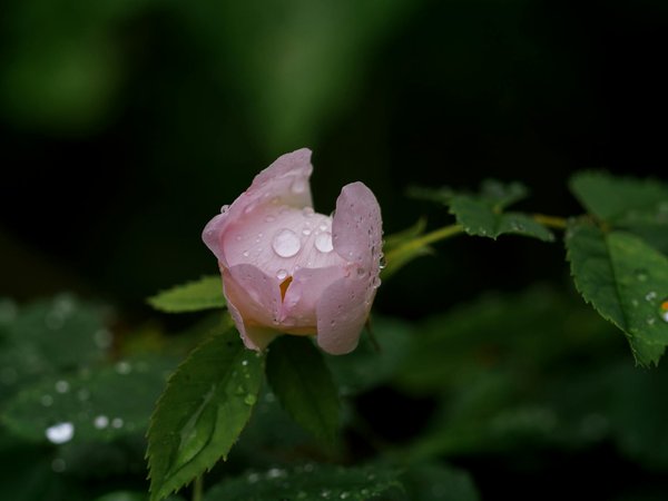 10 creative space-saving furniture ideas to transform your uk home into a cozy retreat