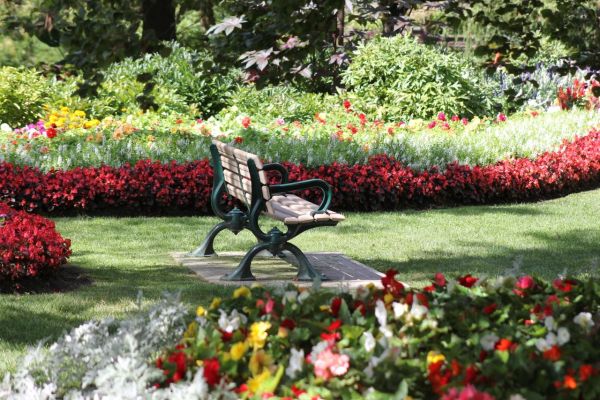 Effective eco-friendly approaches to deter garden pests in your uk home