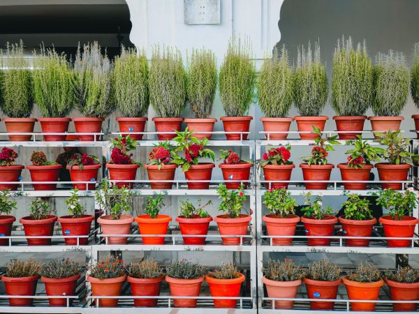 Elevate your uk urban gardening experience: discover cutting-edge vertical gardening methods to optimize space