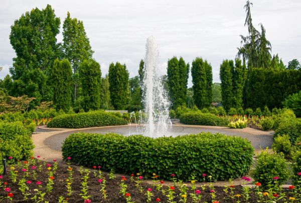 Transform your uk suburban garden with eco-friendly irrigation: innovative water conservation techniques