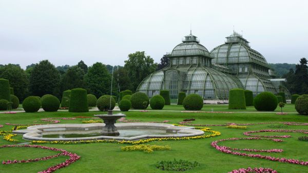 Transforming Clay Soil: Essential Amendments to Boost Permeability in Northern UK Gardens