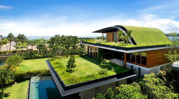 Transforming rooftops: a comprehensive guide to evaluating roof garden potential for your brighton apartment