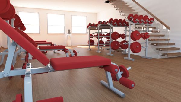 Ultimate guide to crafting the perfect home gym in your uk garage conversion: step-by-step transformation tips